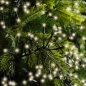 Preview: Beispiel-cluster-kette-farbton-warm-weiss