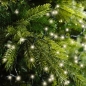 Preview: Beispiel-compact-kette-gruen-lichter-farbton-warm-weiss
