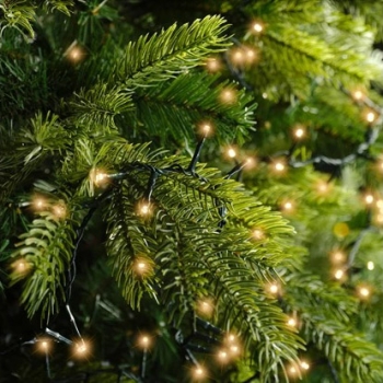 Beispiel-compact-kette-gruen-lichter