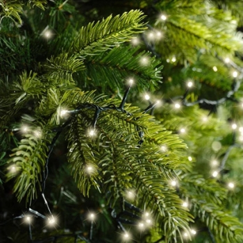 Beispiel-compact-kette-gruen-lichter-farbton-warm-weiss